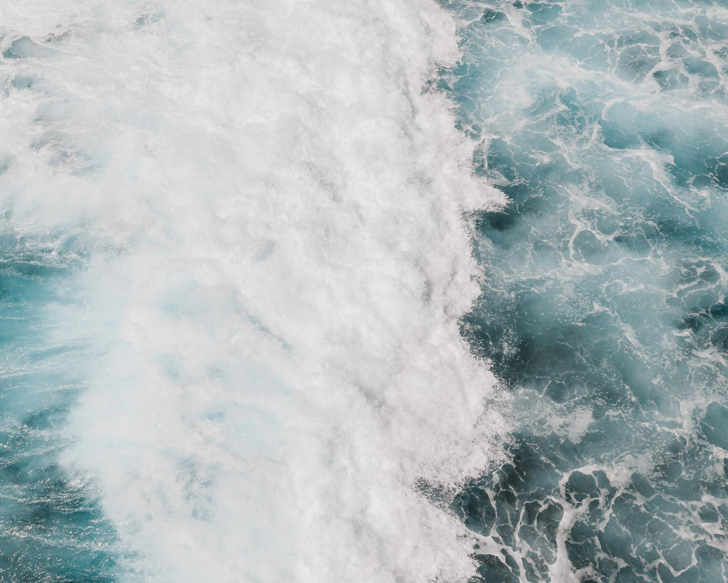 The revolutionary, All-In Ionic Mineral Showerhead