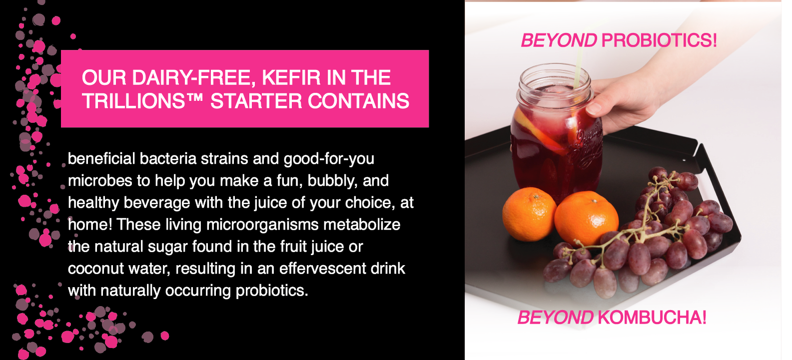 Kefir in the Trillions™