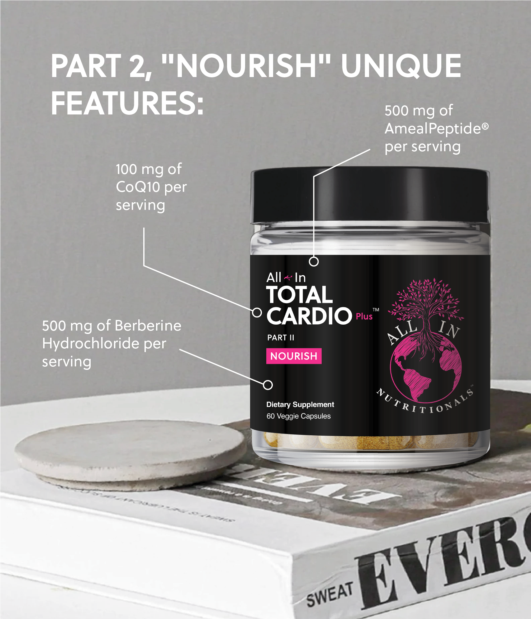 Total Cardio + Part 2, Nourish